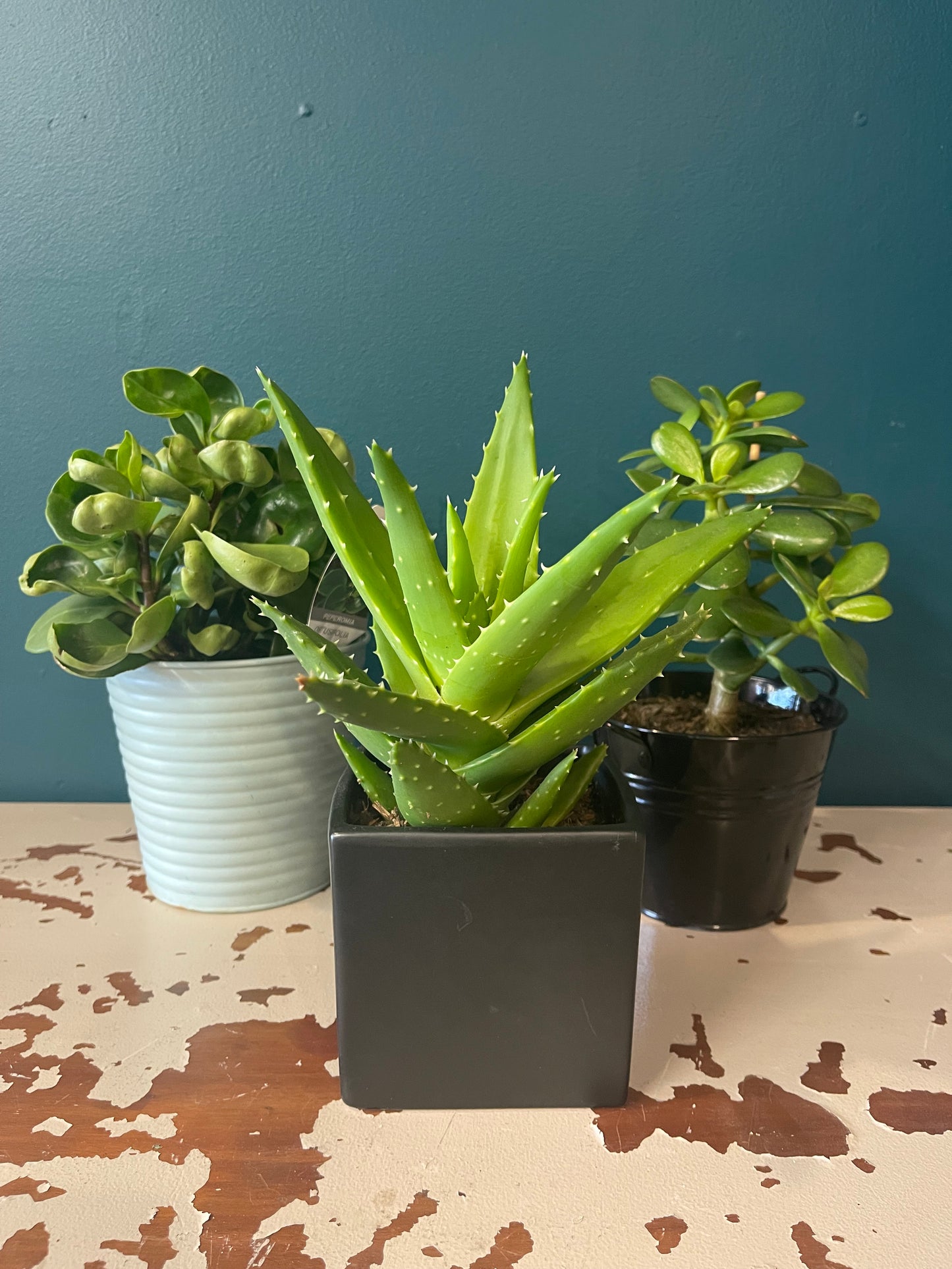 Leafy and green!