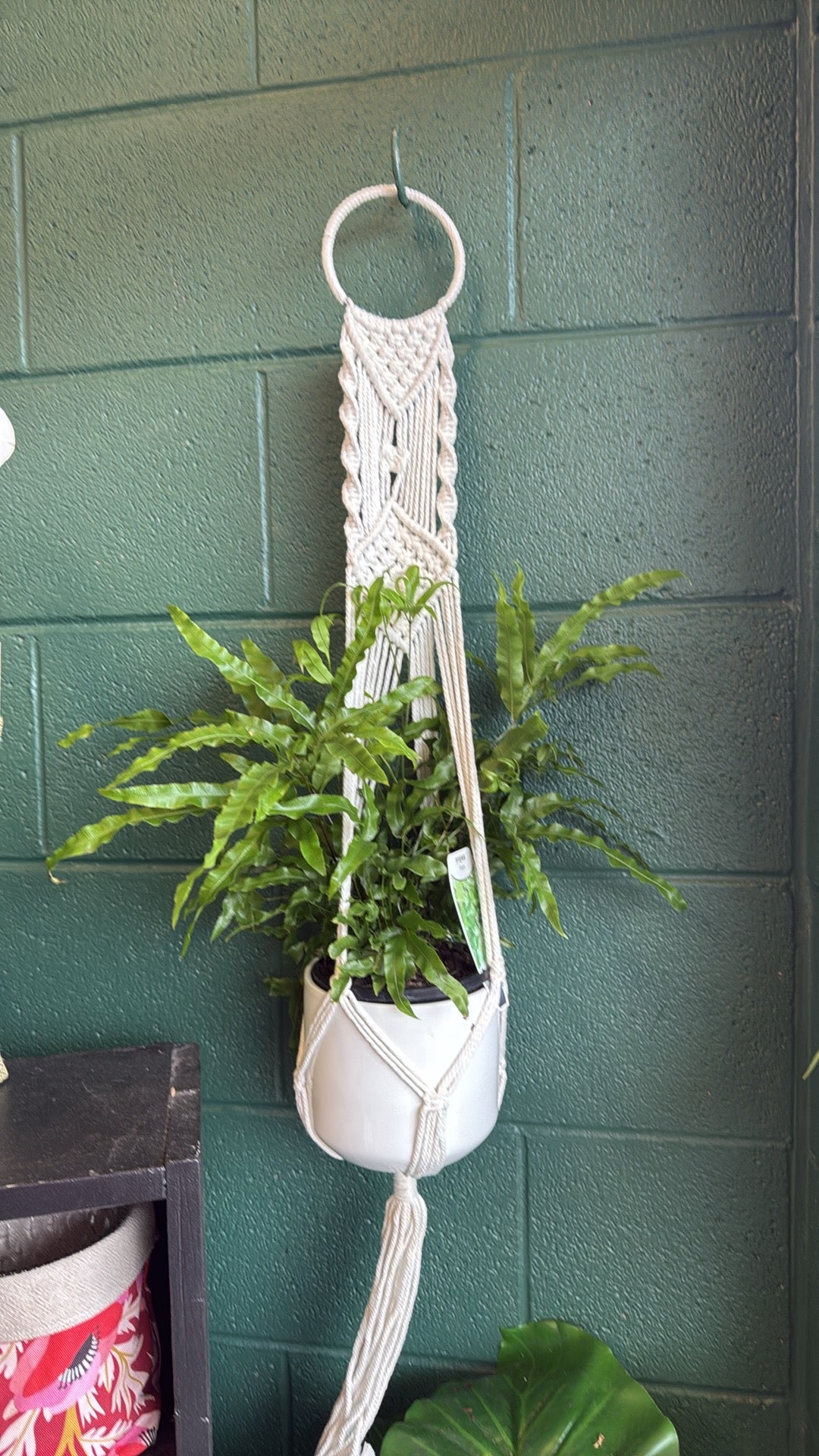 Leafy and green!