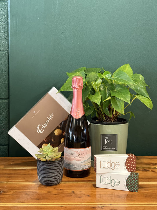 Plant Lover’s Hamper – Green Gifts with Wine, Bubbles & Chocolates