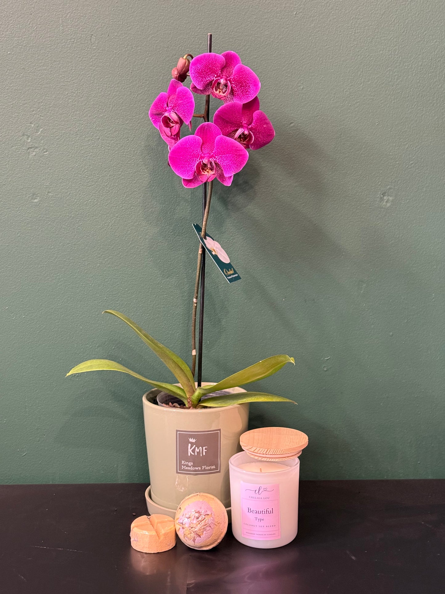 Large Phalaenopsis Orchid