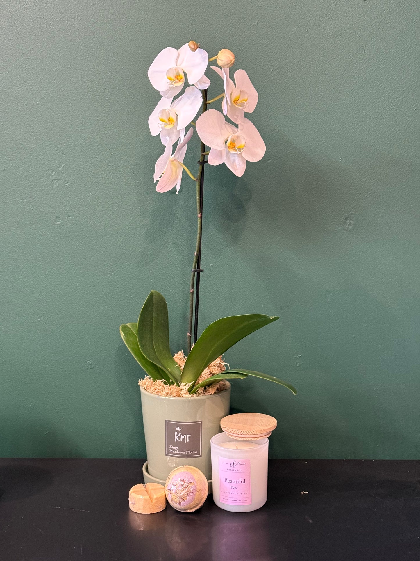 Large Phalaenopsis Orchid
